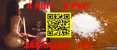 a pvp Славгород