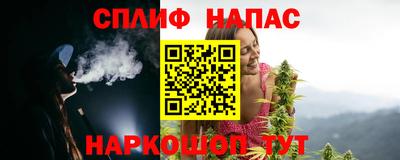 a pvp Славгород
