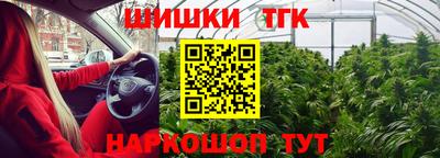 a pvp Славгород