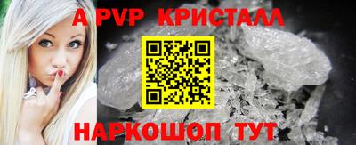 a pvp Славгород